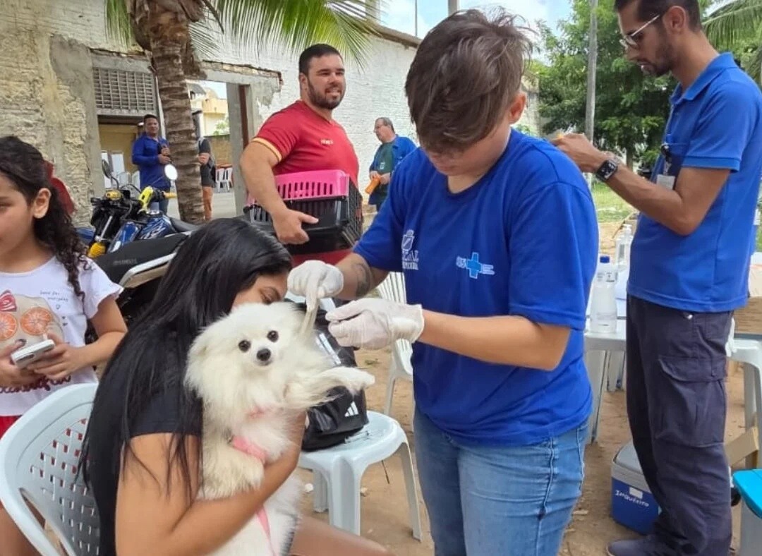 Natal terá vacinação contra raiva para cães e gatos neste sábado; confira os locais