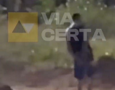 Enxame de abelhas invade viatura durante perseguição e deixa policiais feridos na BR-101, em Natal