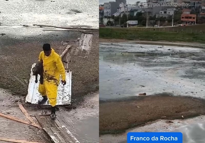 Operários se unem para salvar cachorro idoso e cego atolado na lama