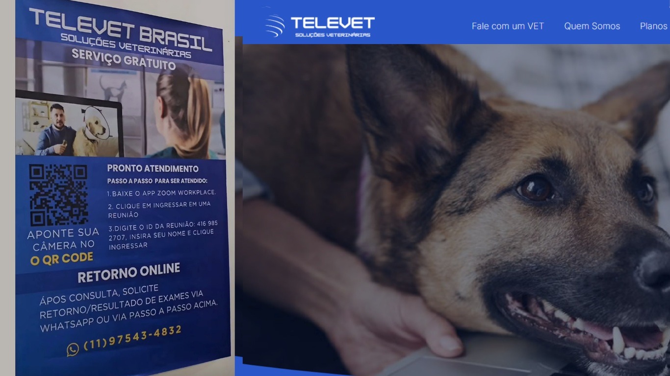 Hospital Veterinário Municipal de Natal oferece consultas on-line para cães e gatos