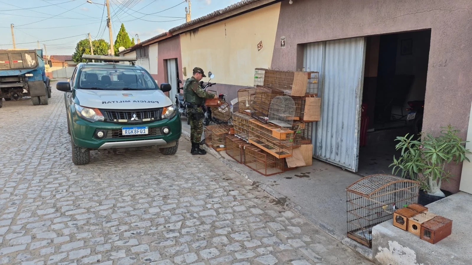 Cinco quilos de chumbo e aves silvestres são encontrados em residência no interior do RN