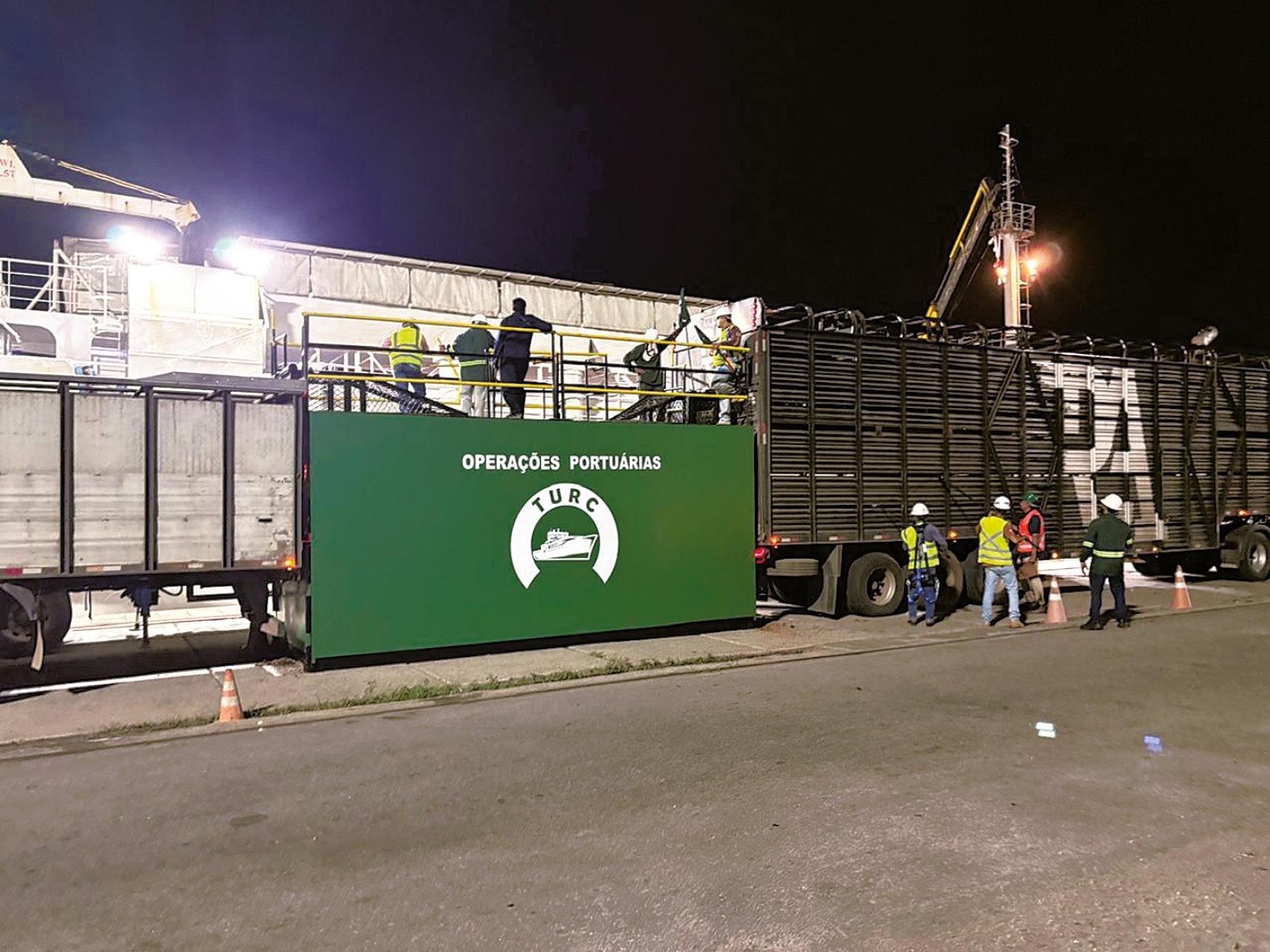 Porto de Natal inicia exportação de gado vivo para a Arábia