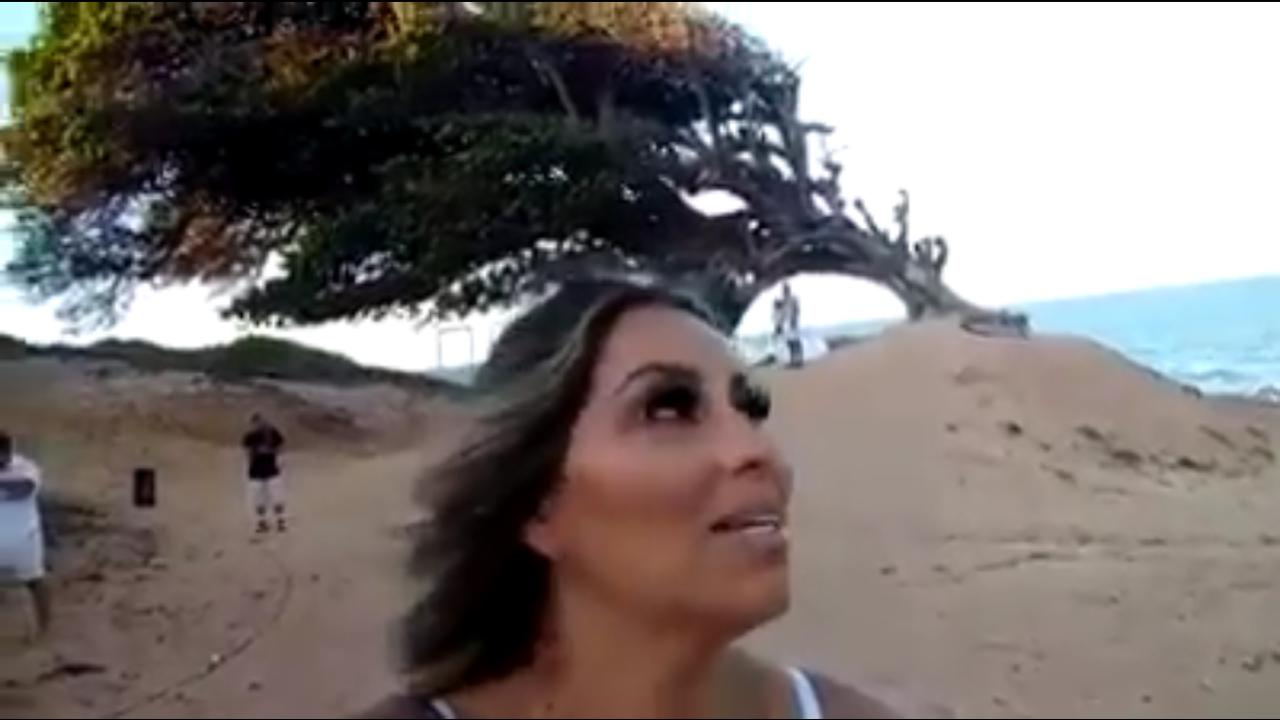 (VÍDEO) Cantora Walkyria Santos grava clipe na Árvore do Amor, em Maxaranguape