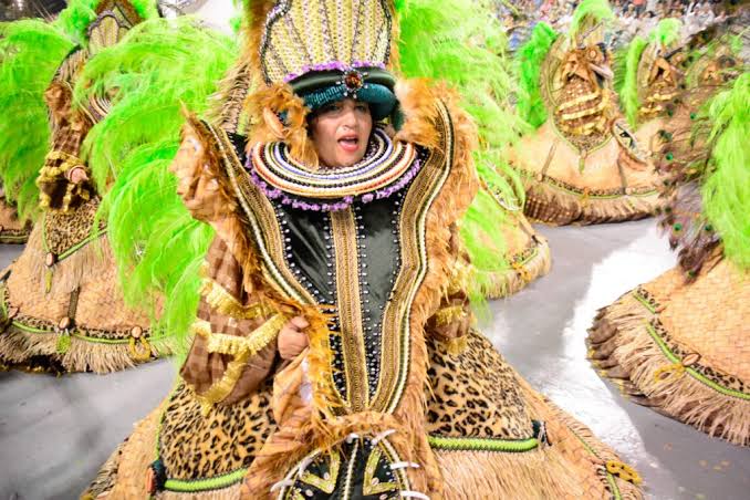 Mancha Verde é campeã do Carnaval 2019 de São Paulo