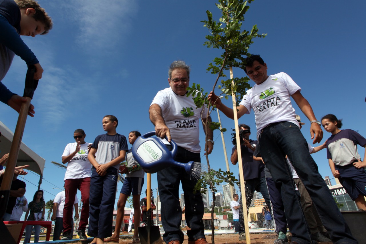 Prefeitura do Natal lança projeto para plantar 20 mil árvores até 2020