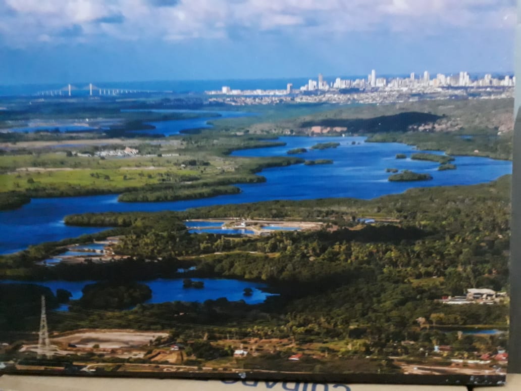 Entidades lançam campanha por criação do Parque dos Mangues do Rio Potengi