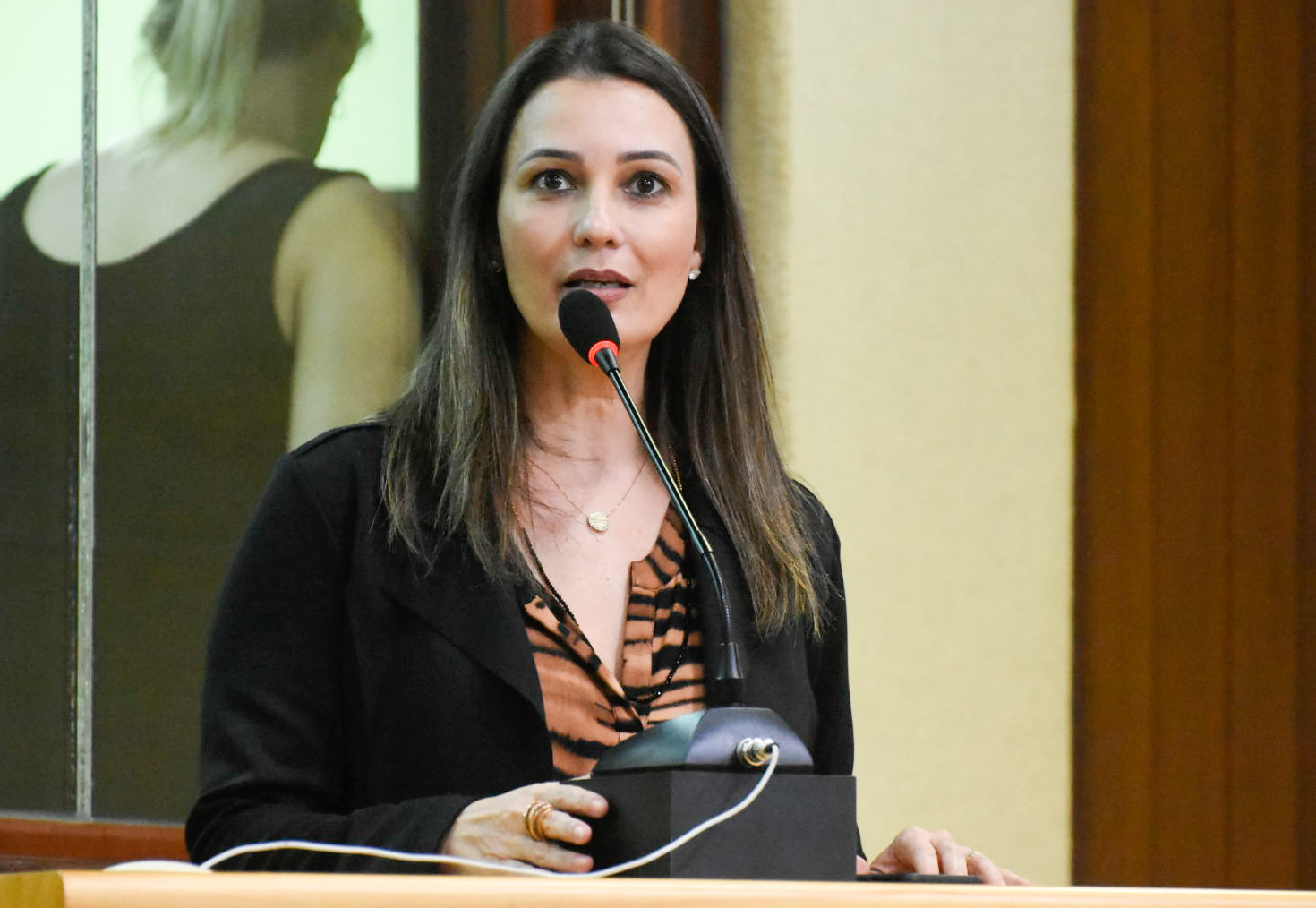 Deputada diz que 53 mulheres foram vítimas de homicídios no 1º semestre