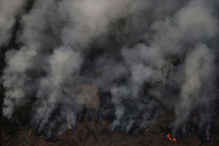 Secretário-geral da ONU está preocupado com queimadas na Amazônia