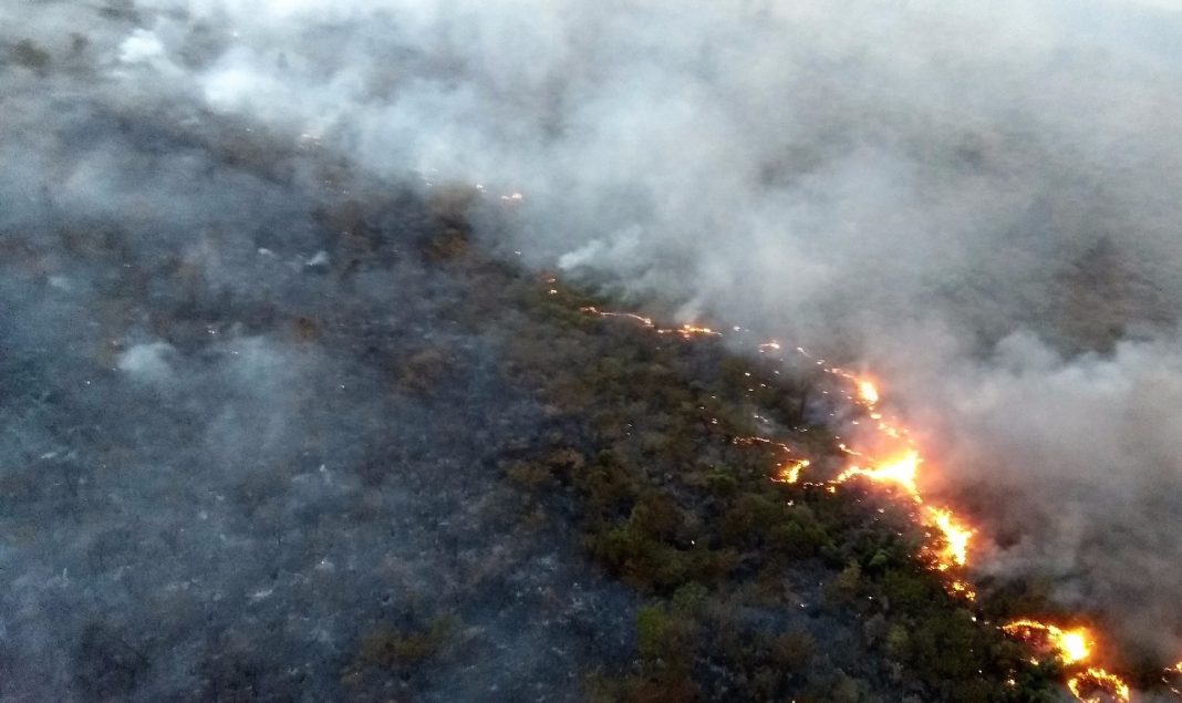 Polícia Civil do PA identifica 50 suspeitos de incêndio na floresta amazônica