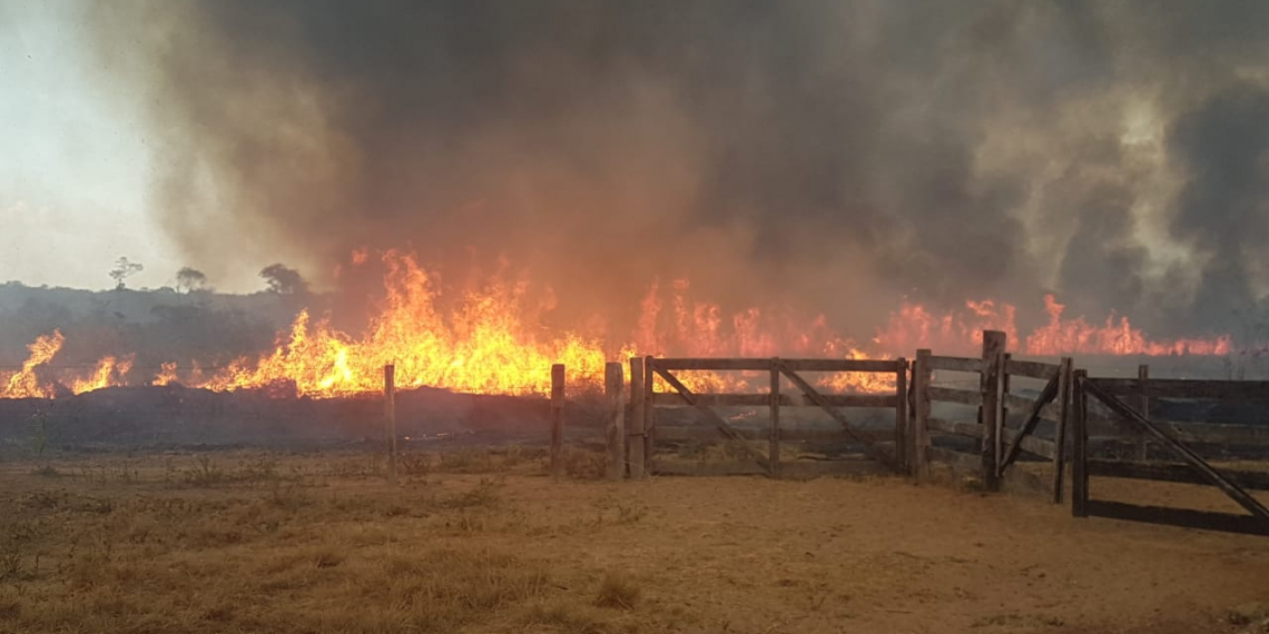 Incêndio criminoso: MST queima floresta para impedir reintegração de posse
