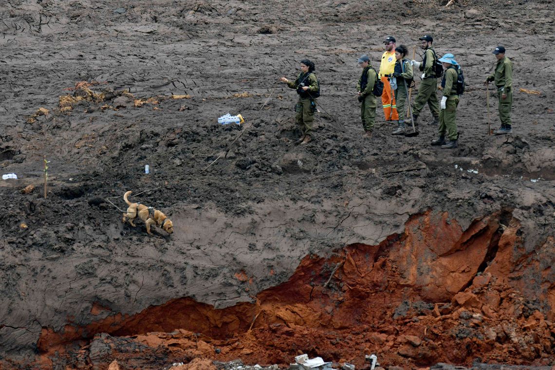 Bombeiros encontram corpo de vítima oito meses após tragédia de Brumadinho