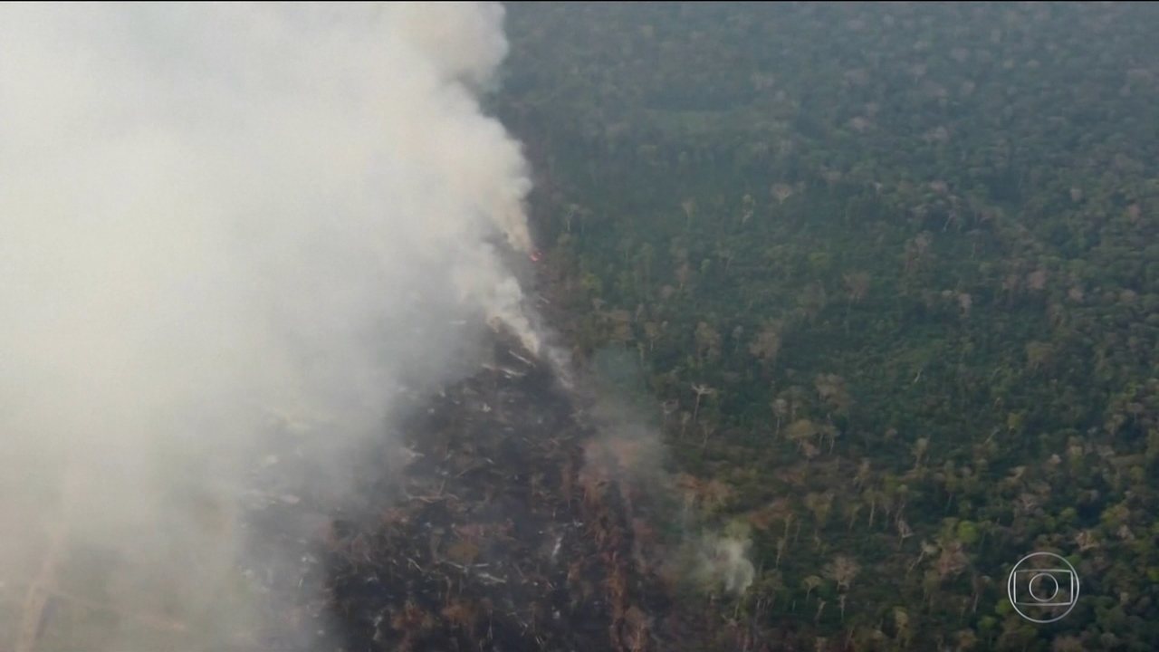 STF notifica Bolsonaro a explicar fala sobre participação de ONGs em queimadas