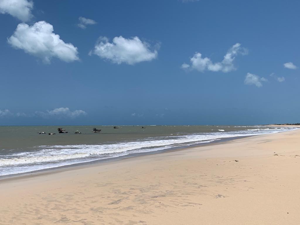 Ibama diz que RN é Estado menos afetado por manchas de óleo nas praias