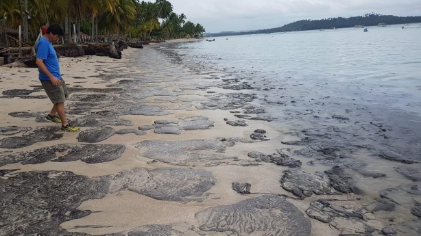 Mais de 525 toneladas de resíduos foram retiradas de praias com óleo
