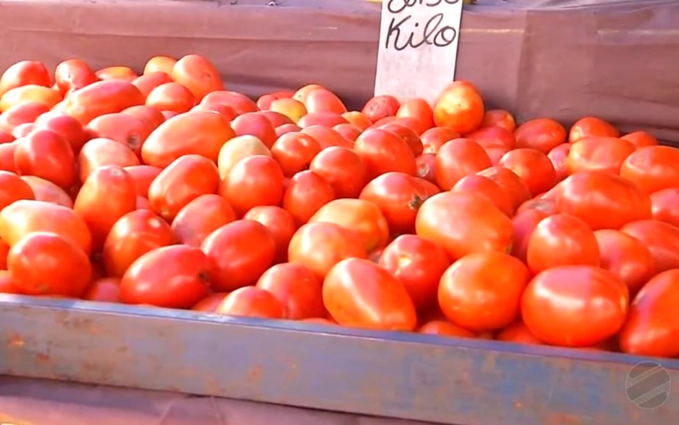 Natal tem a 4ª maior alta no preço da cesta básica; tomate sobe quase 40%