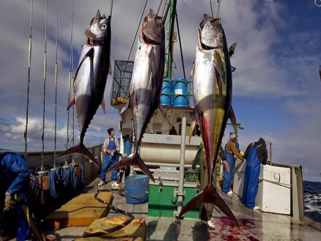 Coronavírus impacta o mercado de pescados do RN