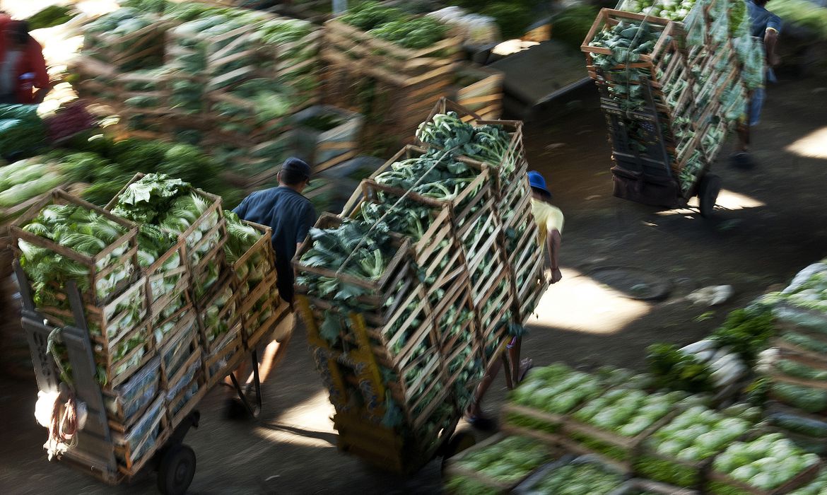 Brasil, UE e mais 20 países se comprometem com abastecimento alimentar