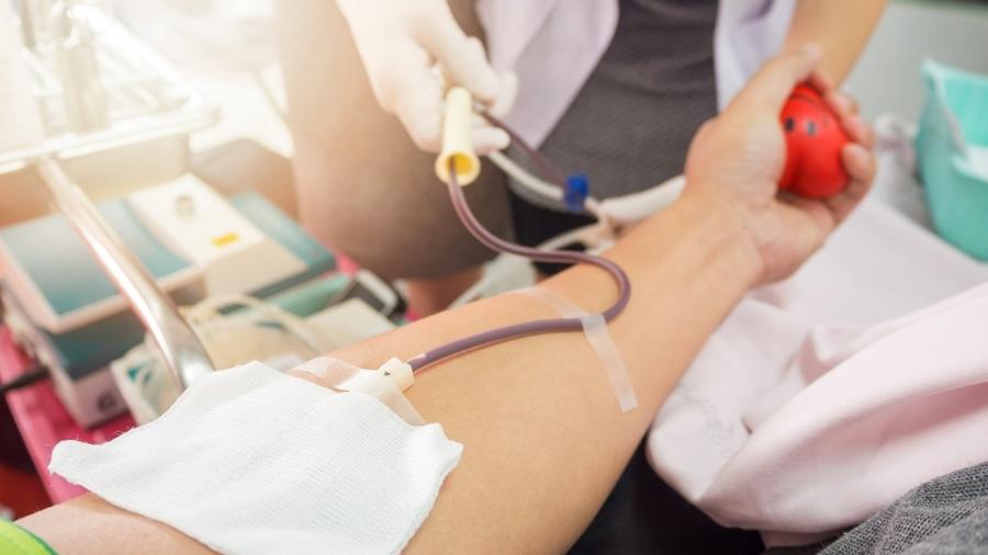 Maioria do STF vota contra restrições à doação de sangue por homens gays