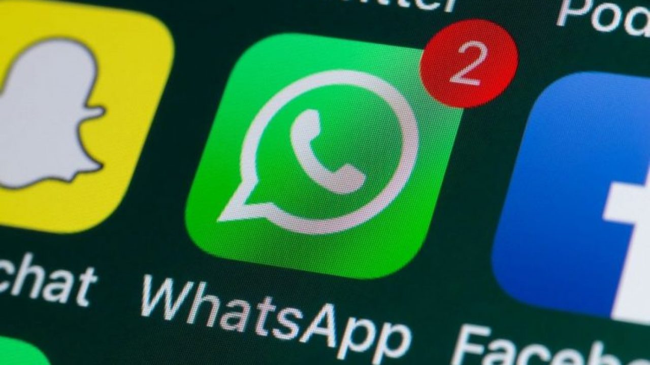 Usuários do WhatsApp relatam bug no status online