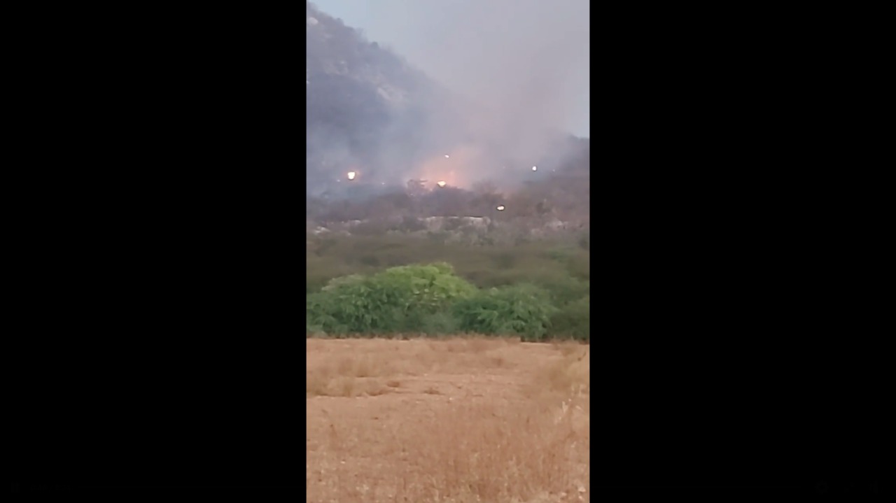 VÍDEO: Bombeiros combatem focos de incêndio no Seridó