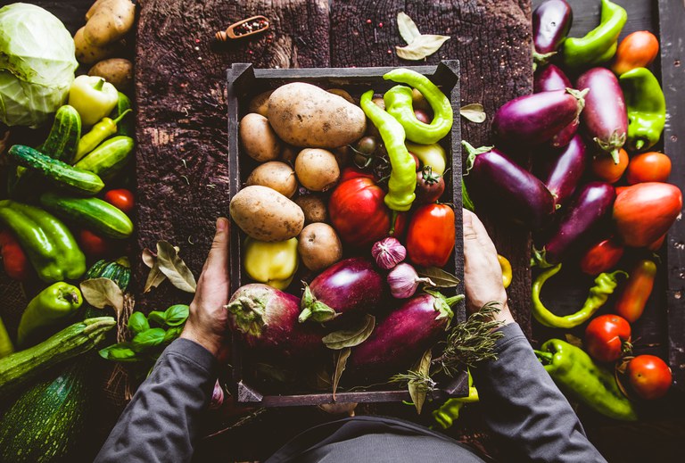 Agricultores familiares do RN já podem se inscrever no Garantia-Safra 2020-2021