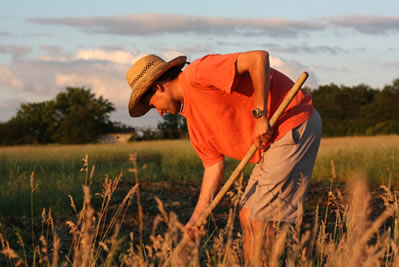 A reforma agrária ainda é necessária?