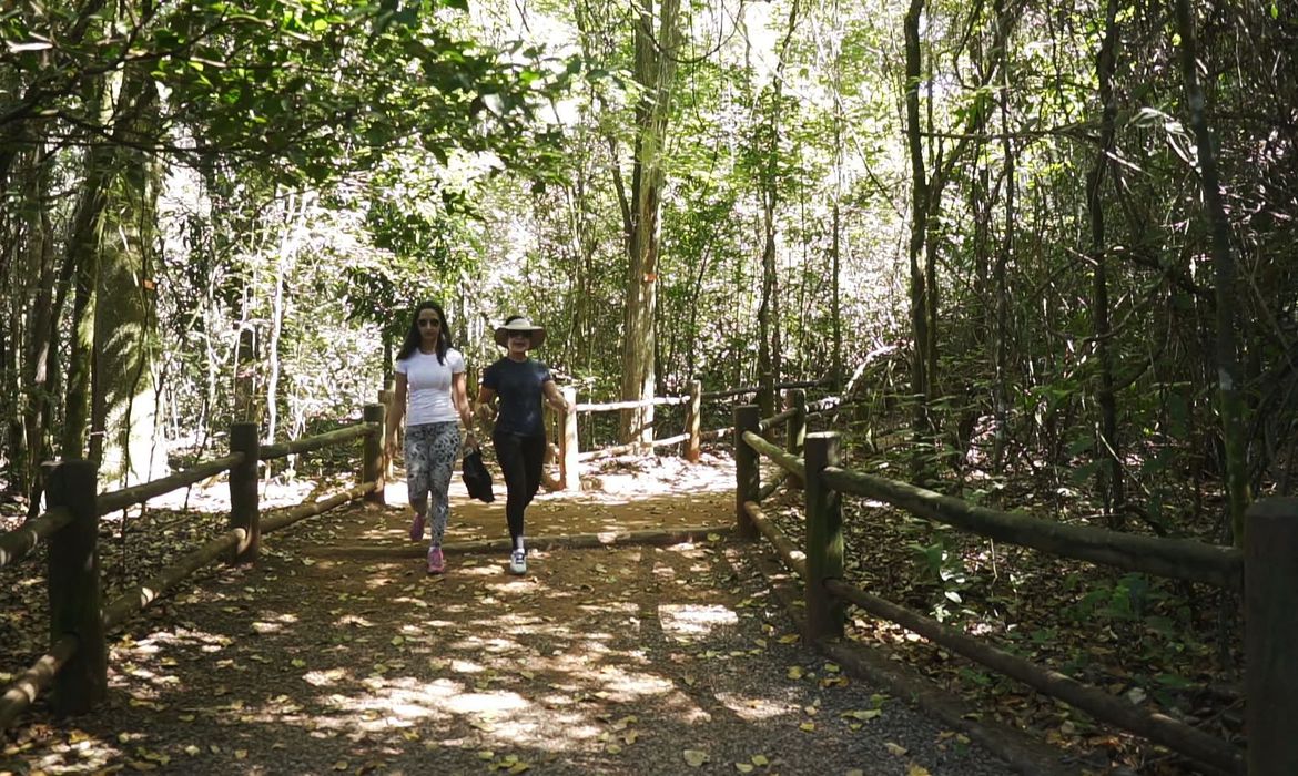 Governo federal regulamenta turismo de trilhas no Brasil