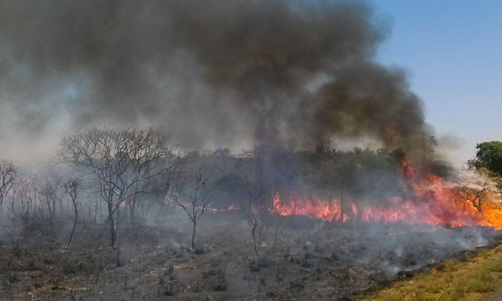 Incêndio destrói extensa área do Parque de Ibitipoca, em Minas