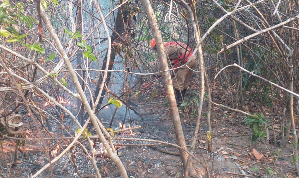 Chapada dos Veadeiros: maior parte do incêndio é controlado