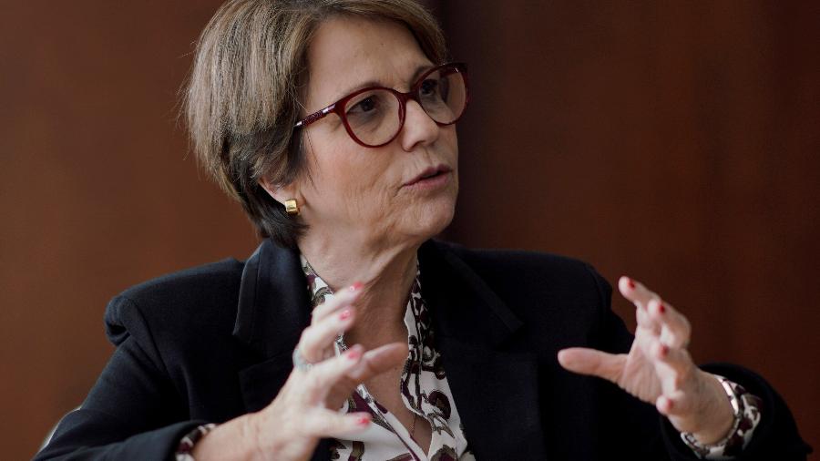 Ministra afirma que gado evitaria queimadas: “Boi é o bombeiro do Pantanal"