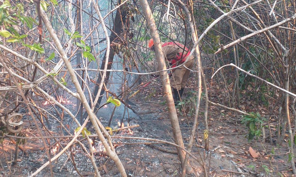 Incêndio na Chapada dos Veadeiros é extinto após 16 dias