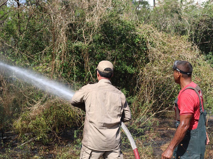 Incêndios florestais: Bombeiros do 2º GB registraram 245 ocorrências em setembro