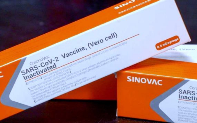 CoronaVac é a vacina em teste mais segura contra covid, diz diretor do Butantan
