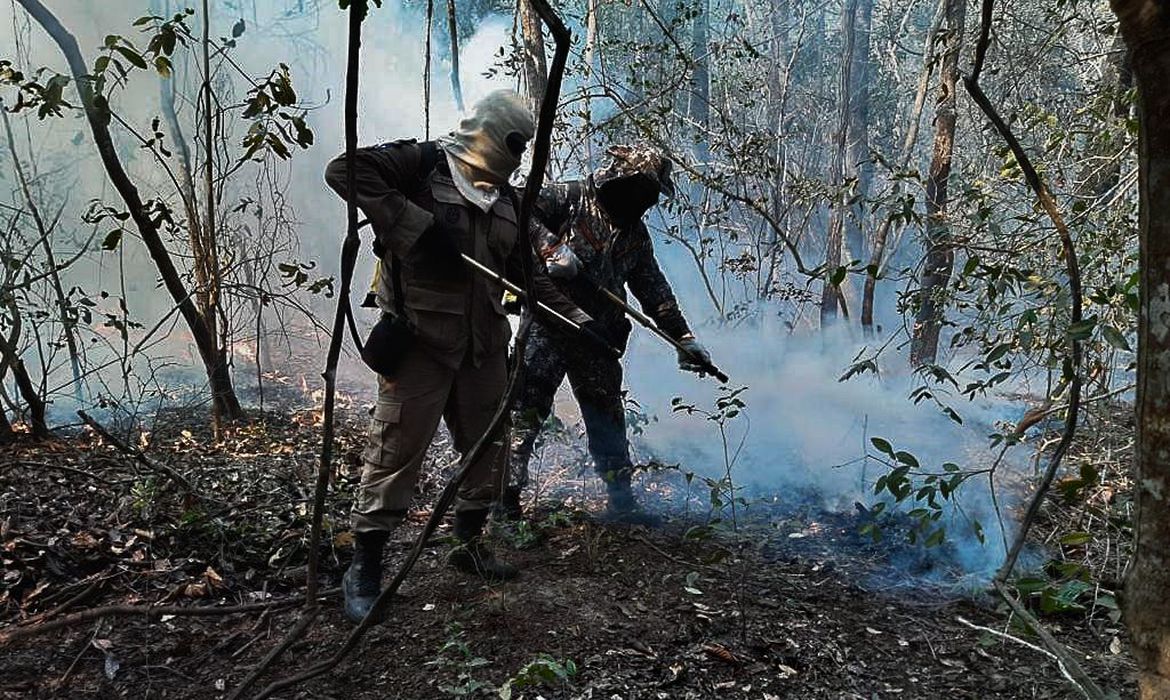 Rogério Marinho defende medidas preventivas para evitar incêndios no Pantanal
