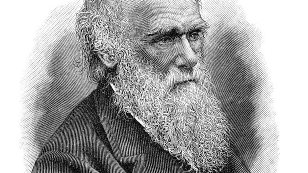 Universidade de Cambridge denuncia roubo de cadernos de Darwin
