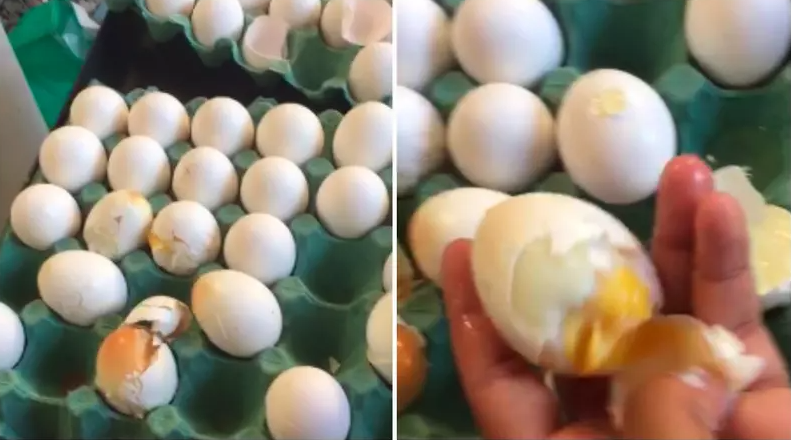 Ovos cozinham na caixa com forte calor no Rio; físico explica fenômeno