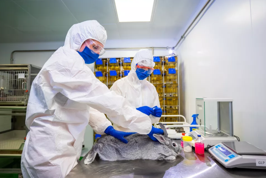Rússia registra primeira vacina do mundo contra covid-19 para animais