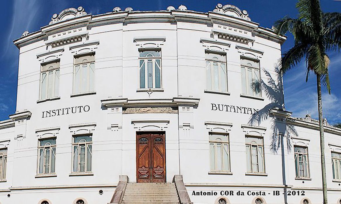 Butantan entrega mais 420 mil doses da CoronaVac ao PNI