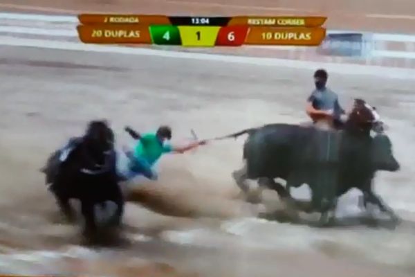 VÍDEO: Vaqueiro morre após ser pisado por cavalo em competição de vaquejada