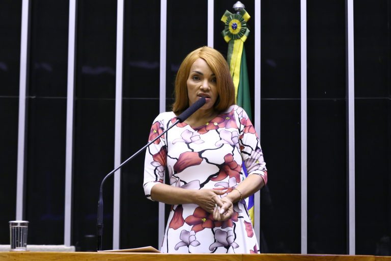 Veja como votou a bancada potiguar no processo de cassação de Flordelis