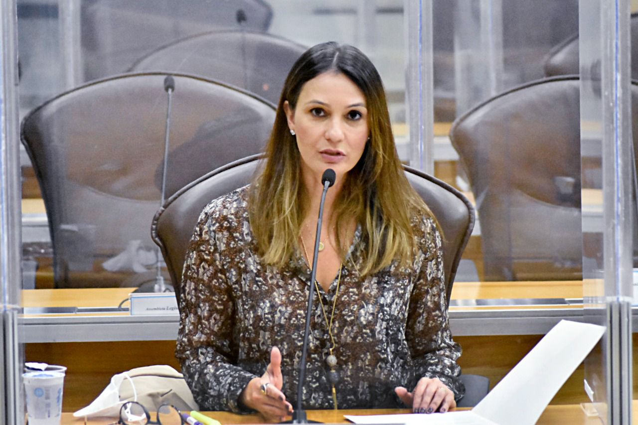 Deputada faz apelo ao Conema em prol de agricultores familiares da região Agreste