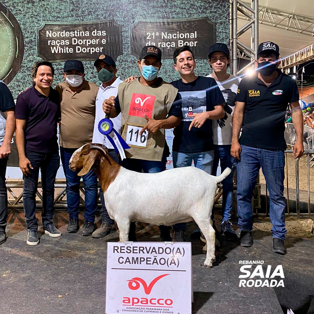 Rebanho Saia Rodada, do RN,  vence maior exposição de caprinos da América Latina