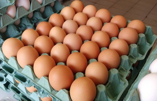 Comer ovo diariamente faz mal à saúde? Quantos posso comer por dia? Saiba aqui