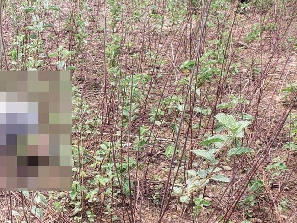 Corpo é encontrado com marcas de tiros na cabeça às margens da RN-015