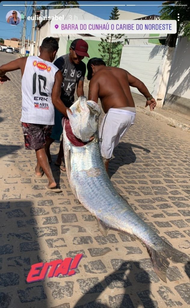 Pescadores pegam peixe de 80kg em praia no litoral do RN