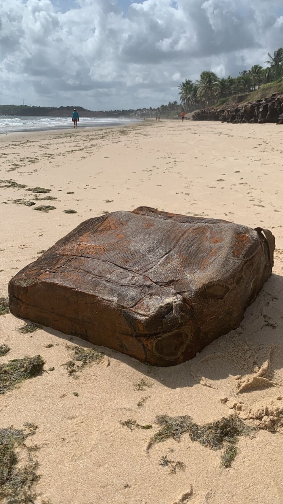 Destroços de navio nazista reaparecem no litoral potiguar