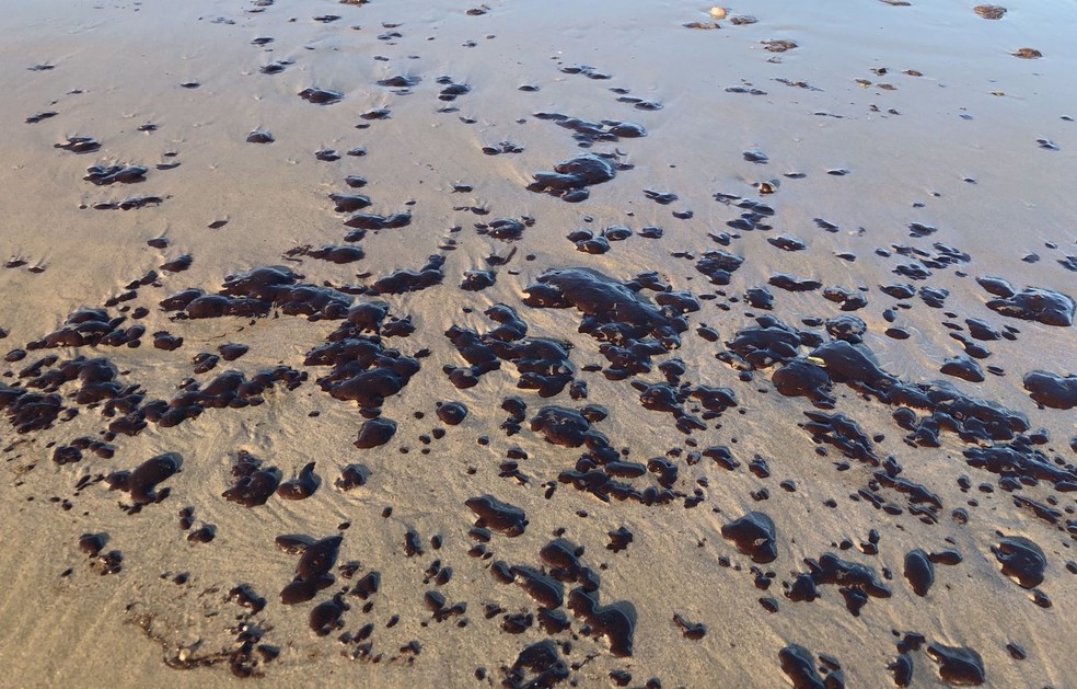 Manchas de óleo reaparecem em mais de 60 praias do litoral do Nordeste