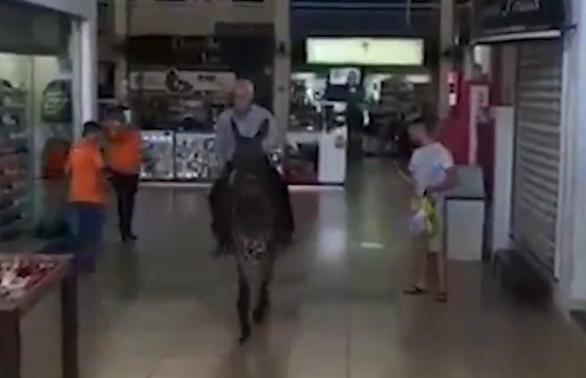 VÍDEO: Homem é flagrado passeando em burro dentro de shopping