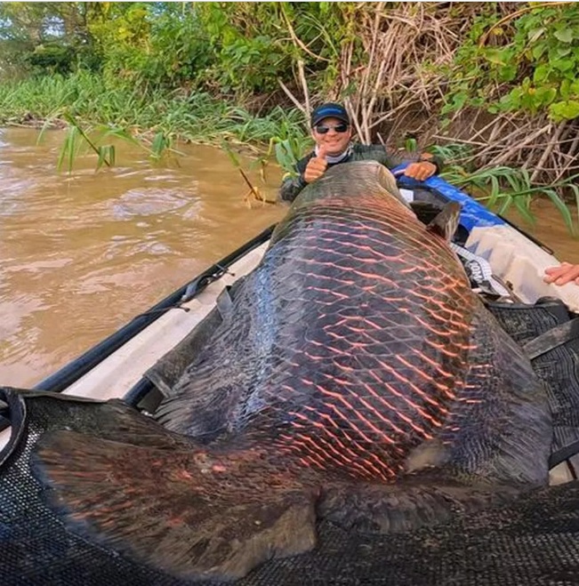Pescadores fisgam peixe de mais 2 metros e 100 kg: 'foi uma sensação incrível'