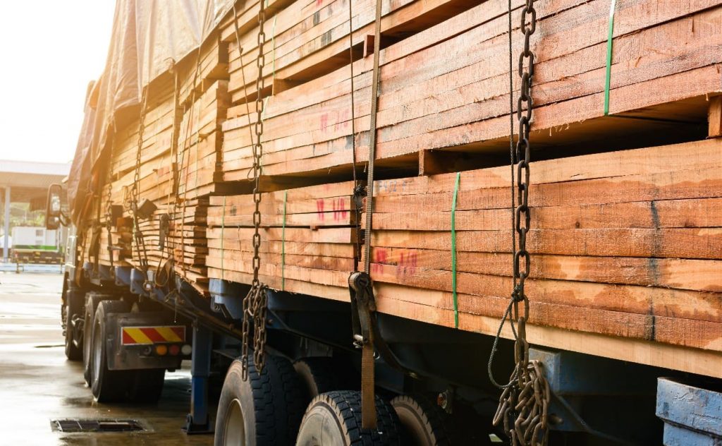 Ferramenta do Ibama traz mais transparência ao comércio de produtos madeireiros